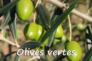 Tapenade verte