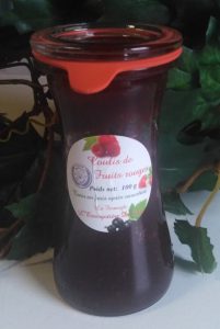 COULIS DE FRUITS ROUGES ARTISANAL