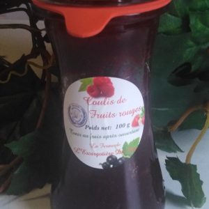 COULIS DE FRUITS ROUGES ARTISANAL