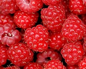 confiture rhubarbe framboise